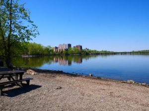 Position du C.I.EAU sur les projets de développements immobiliers Île Gagnon et Place Sainte-Rose