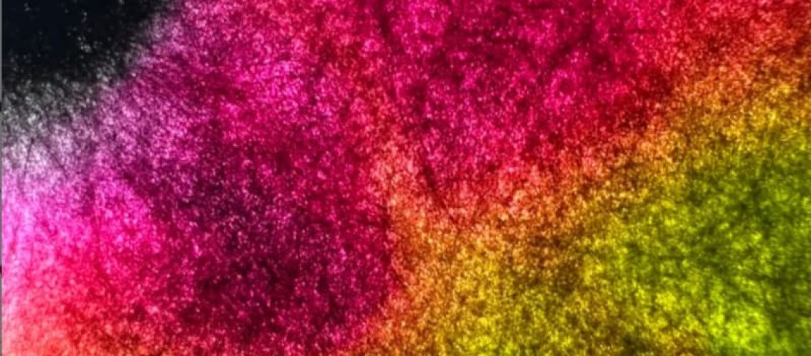 212473c3-3f7a-4c70-97ad-0b688ca11e9b