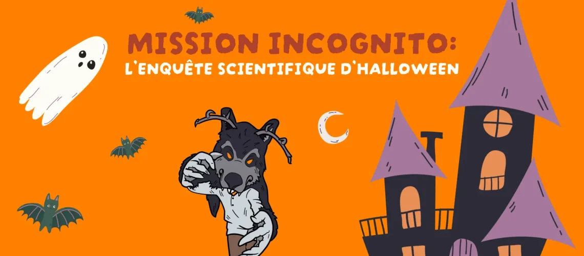halloween 2026 cieau (13)
